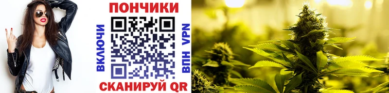 Где купить Кириллов Каннабис  MDMA  ГАШ 