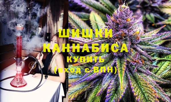 мдпв Козельск