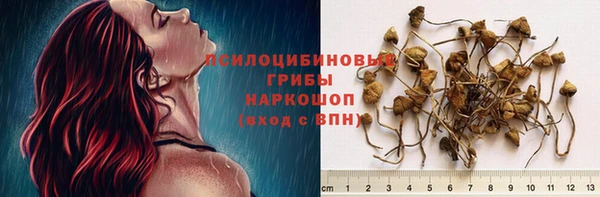 скорость Кинешма